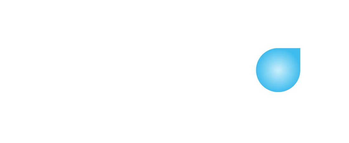 Noah's Rule 20th Anniversary Logo - since 2004